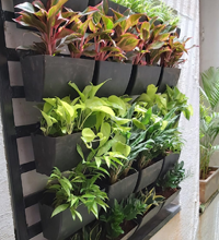 Top 10 Landscaping Services in Chennai