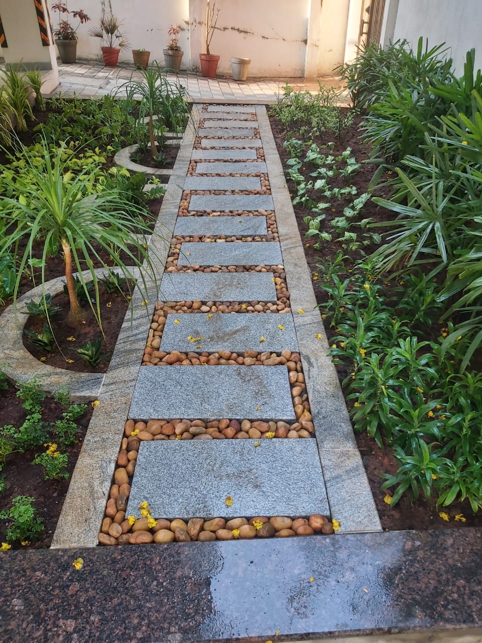 Vertical Gardening Services In Chennai